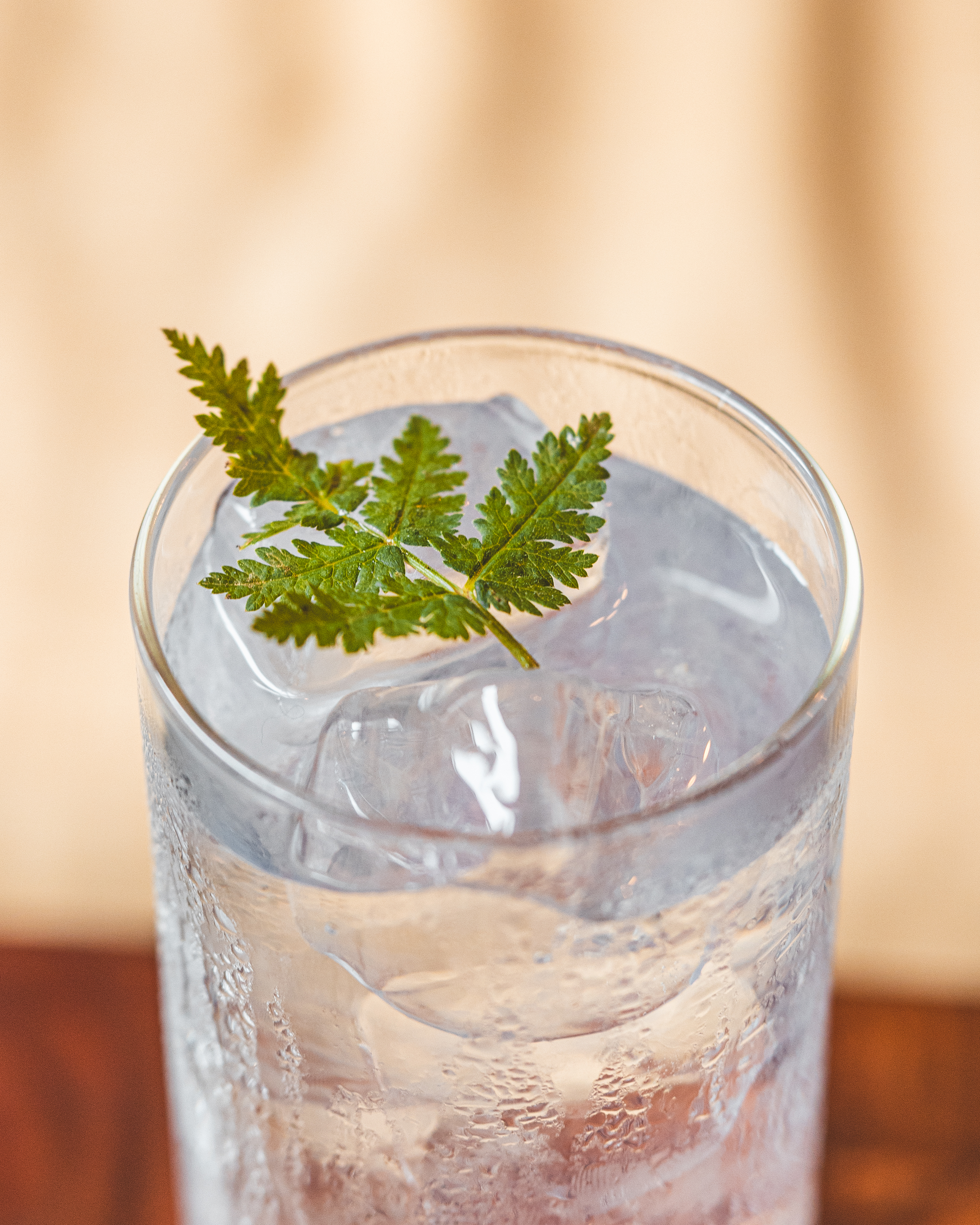 Tatar cocktail